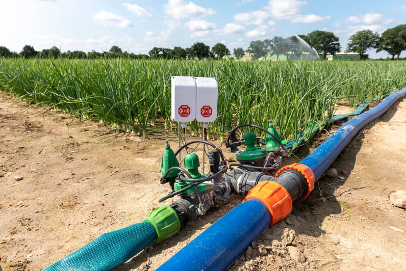 Smart Irrigation Arrays